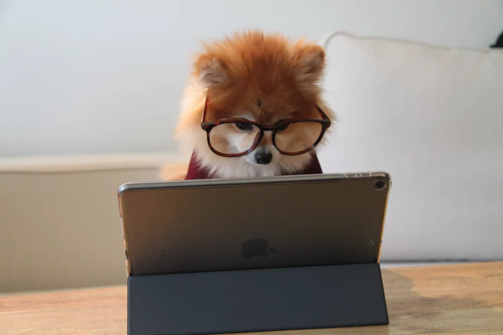 Dog wearing glasses behind a laptop computer on a desk as if he were working on a digital marketing campaign. 